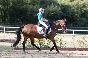 Bild 76 - Pony Akademie Turnier